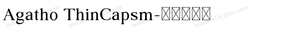 Agatho ThinCapsm字体转换